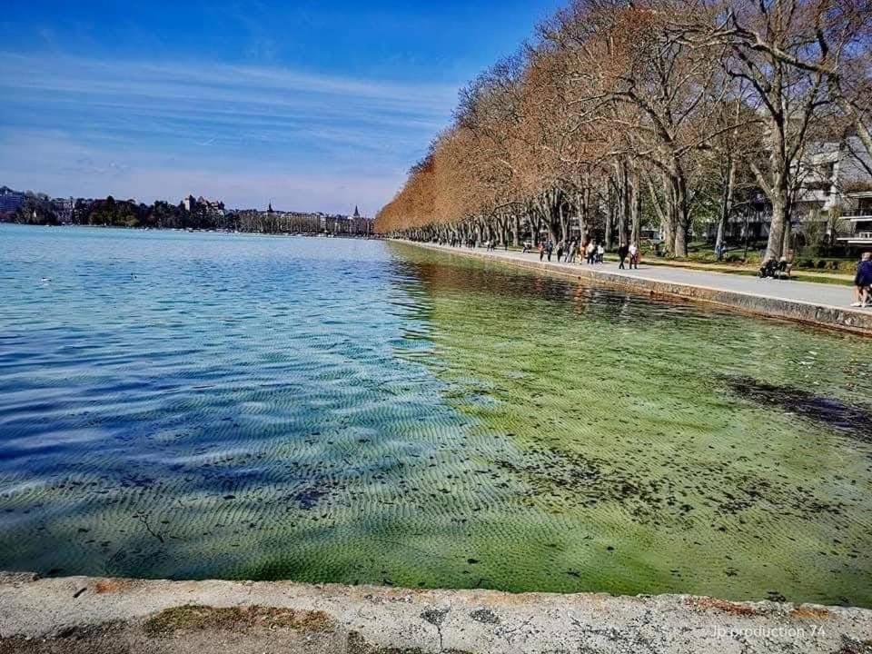 Apartament La Petite Venise Des Alpes, Ultra Centre 1 A 5 Pers Annecy Zewnętrze zdjęcie